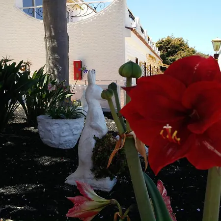 Apartment The Bluestudio Tacoronte