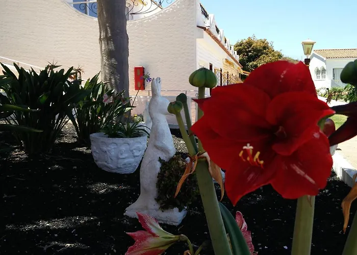 Апартаменты The Bluestudio Такоронте